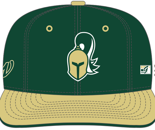 Cap - Gametek - Unisex - Gladiator - Green/Gold Flat Bill