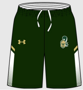 Pocket Shorts - Men UA Gold/Green